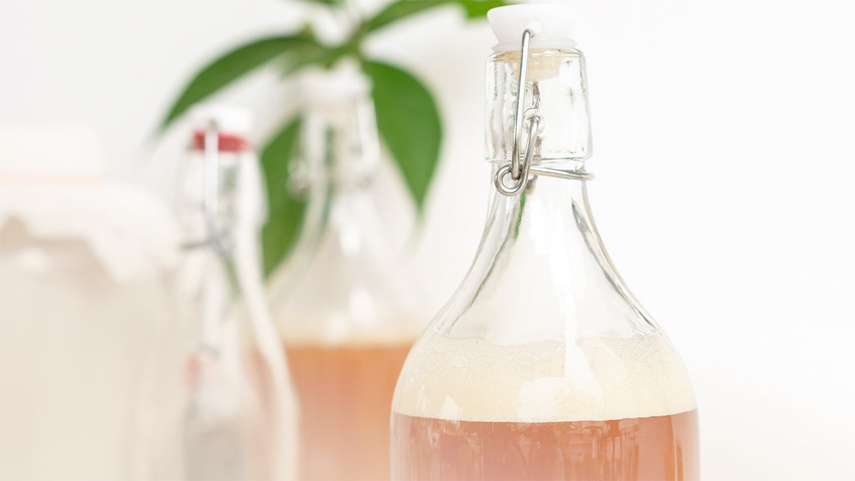 Flaschen fermentierter Kombucha Pflanzenhintergrund