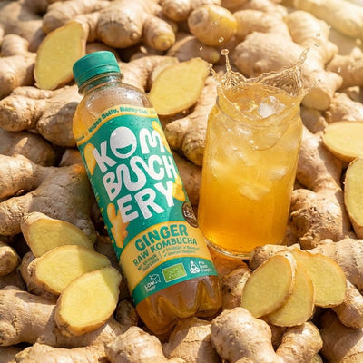 Ginger Raw Kombucha